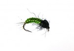 THM48 Larve sedge tungstFne taille 14.jpg
